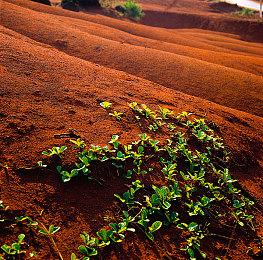 VR游戏《夏日假期》上线Steam 3月推出支持中文